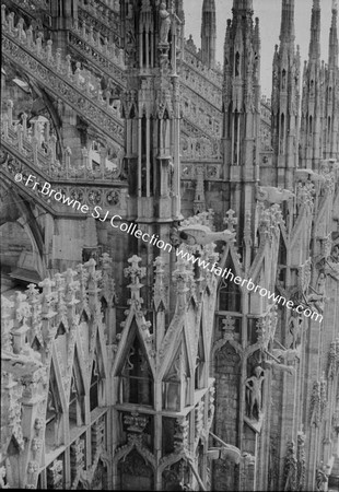 GARGOYLES OF CATHEDRAL